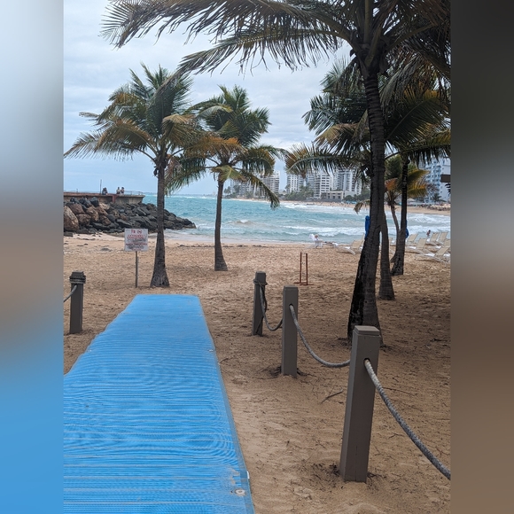 Meet your Posher, Daisy - Picture 8 of 16